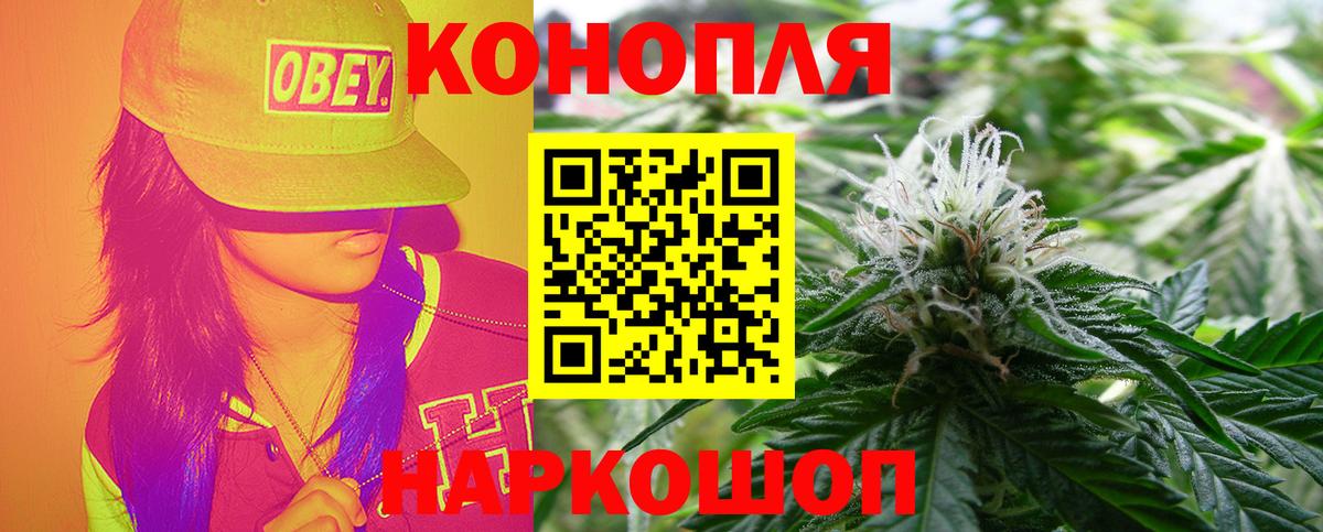 Шишки марихуана гибрид Муравленко